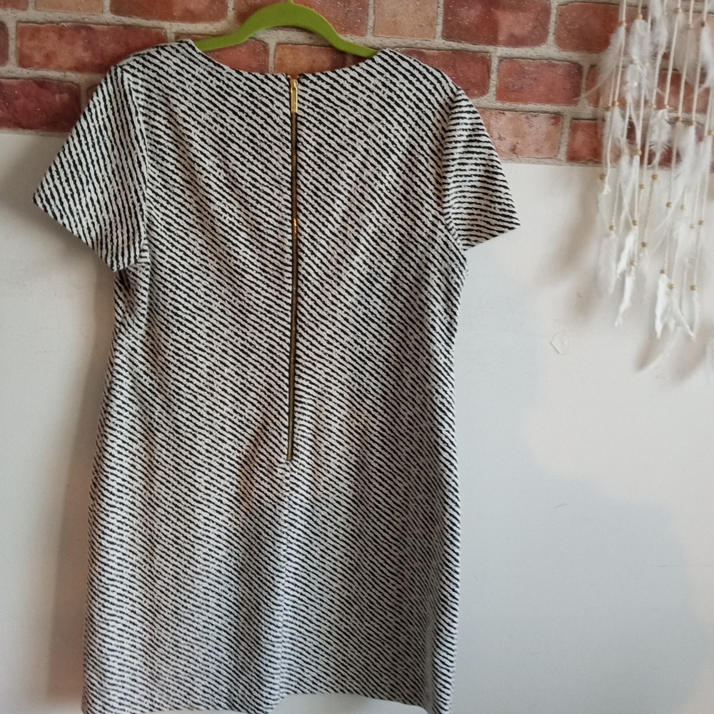 Calvin Klein dress‎ size 14 - Picture 4 of 8
